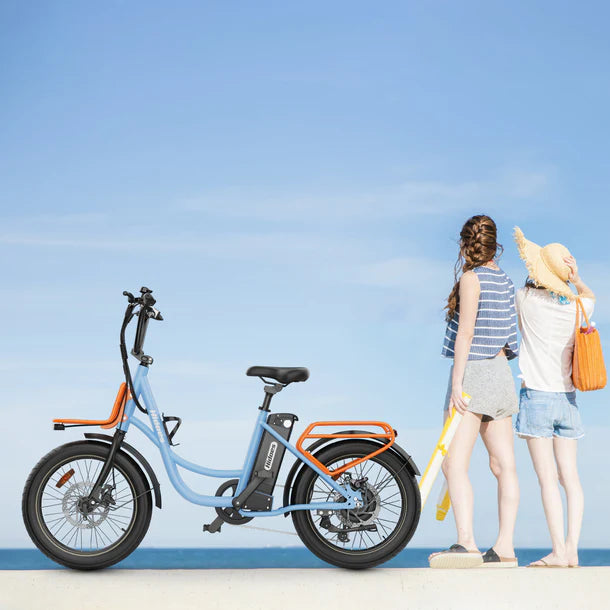 Hidoes C6 Electric Bike